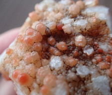 Fragmento de geodo calcedônia botryoidal ágata uva Utah bolhas do deserto GA7 comprar usado  Enviando para Brazil