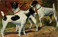 CPA Jack Russel Terrier DOGS (729532), usado comprar usado  Enviando para Brazil