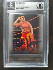 Hulk hogan signed usato  Nerviano