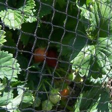 Anti bird crop for sale  CIRENCESTER