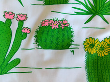 agave prickly pear for sale agave prickly pear for sale Maricopa