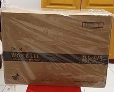 Hottoys dx04 bruce for sale  Chula Vista