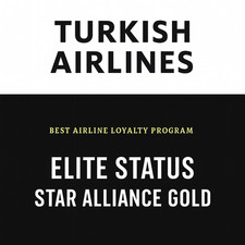 Turkish airlines stato usato  Spedire a Italy