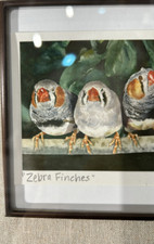 Framed print zebra for sale  Bensenville
