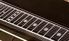 Pedal steel guitar d'occasion  Paris XIV