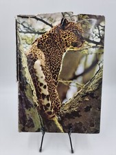Livre zoo afrique d'occasion  Collonges