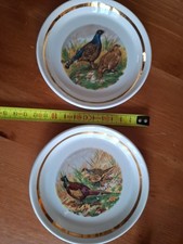 plates decorative for sale  NEWPORT
