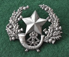Cameronians glengarry badge for sale  CLEETHORPES