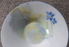 Shelley saucers iris for sale  COLEFORD