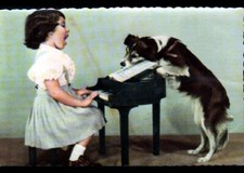 Child dog trained d'occasion  Expédié en Belgium