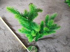 Large aquarium plant.1 for sale  LONDON