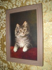 Kitten leans couch for sale  Fresno