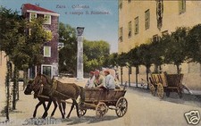 Zara colonna campo usato  Roma