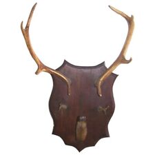 Taxidermie trophée chasse d'occasion  Mer