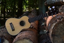 Sopranukulele gebraucht kaufen  Stepenitztal