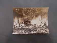 Photo originale guerre d'occasion  Sainte-Maxime