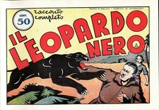 Leopardo nero solini usato  Roma