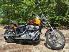 Harley davidson fxst gebraucht kaufen  Landshut