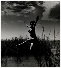 André dienes esquire d'occasion  Pagny-sur-Moselle