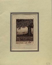 Schönes altes libris gebraucht kaufen  Welver