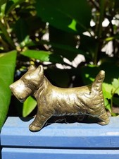 Gorgeous scottie dog for sale  LLANDYSUL