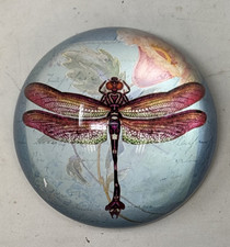 Dragonfly glass dome for sale  CHESTER