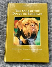 Saga dogue bordeaux for sale Saga dogue bordeaux for sale  NORMANTON