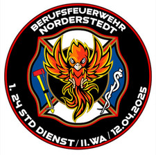 Berufsfeuerwehr Norderstedt Patch 1. 24h Dienst W2 Abzeichen BF Norderstedt comprar usado  Enviando para Brazil