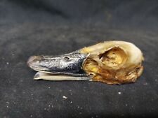 Duck head weird for sale  Newry