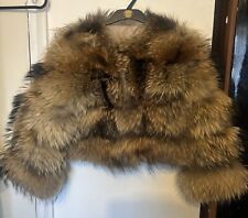 Raccoon fox real for sale  ORPINGTON