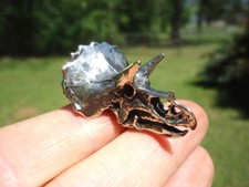 Triceratops skull replica for sale  Tallahassee