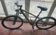 Mountain bike frera usato  Massarosa