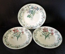 Assiettes plates choisy d'occasion  Buchy