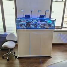 Shallow reef 200 gebraucht kaufen  Bremen