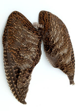 woodcock feathers for sale woodcock feathers for sale NOTTINGHAM