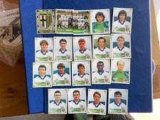 Panini calciatori 1993 usato  Canelli