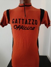 Maglia ciclismo wool usato  Rimini