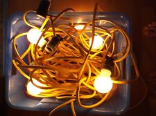 Outdoor electric festoon for sale  LINCOLN