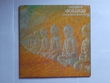 Devadip carlos santana usato  Torrita Tiberina