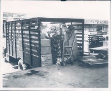 1970 photo boston for sale  Germantown