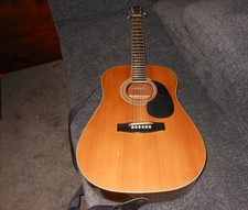 Nice acoustic style for sale  Turbotville