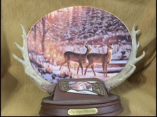 Bradford plate edge for sale  Nanticoke