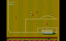 Sensible soccer no usato  Massa di Somma
