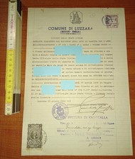 Luzzara attestazione razza usato  Novellara