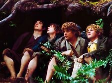Billy boyd herr gebraucht kaufen  Sonnefeld