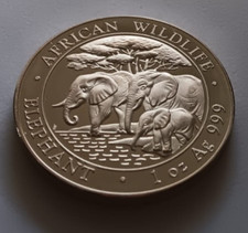 Somalia elefant 2013 gebraucht kaufen  Bretten