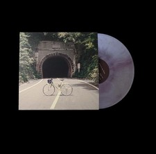 THE BACKSEAT LOVERS - When We Were Friends Galaxy Vinyl LP  comprar usado  Enviando para Brazil