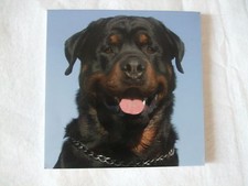 Carnet aimanté feuilles d'occasion Carnet aimanté feuilles d'occasion  Troyes