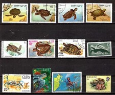 Pm146 pays tortues d'occasion  Venelles