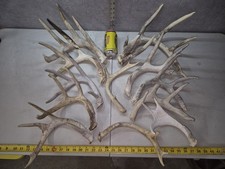 Bulk lot 9.2lbs for sale  Valley City